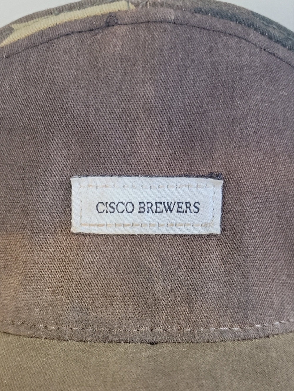 Cisco Faded Camouflage Panel Trucker Hat in Brown and Green